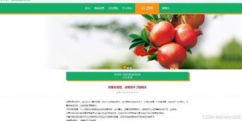 基于Node.js與Vue.js的農(nóng)特產(chǎn)品銷售系統(tǒng)計(jì)算機(jī)畢業(yè)設(shè)計(jì)